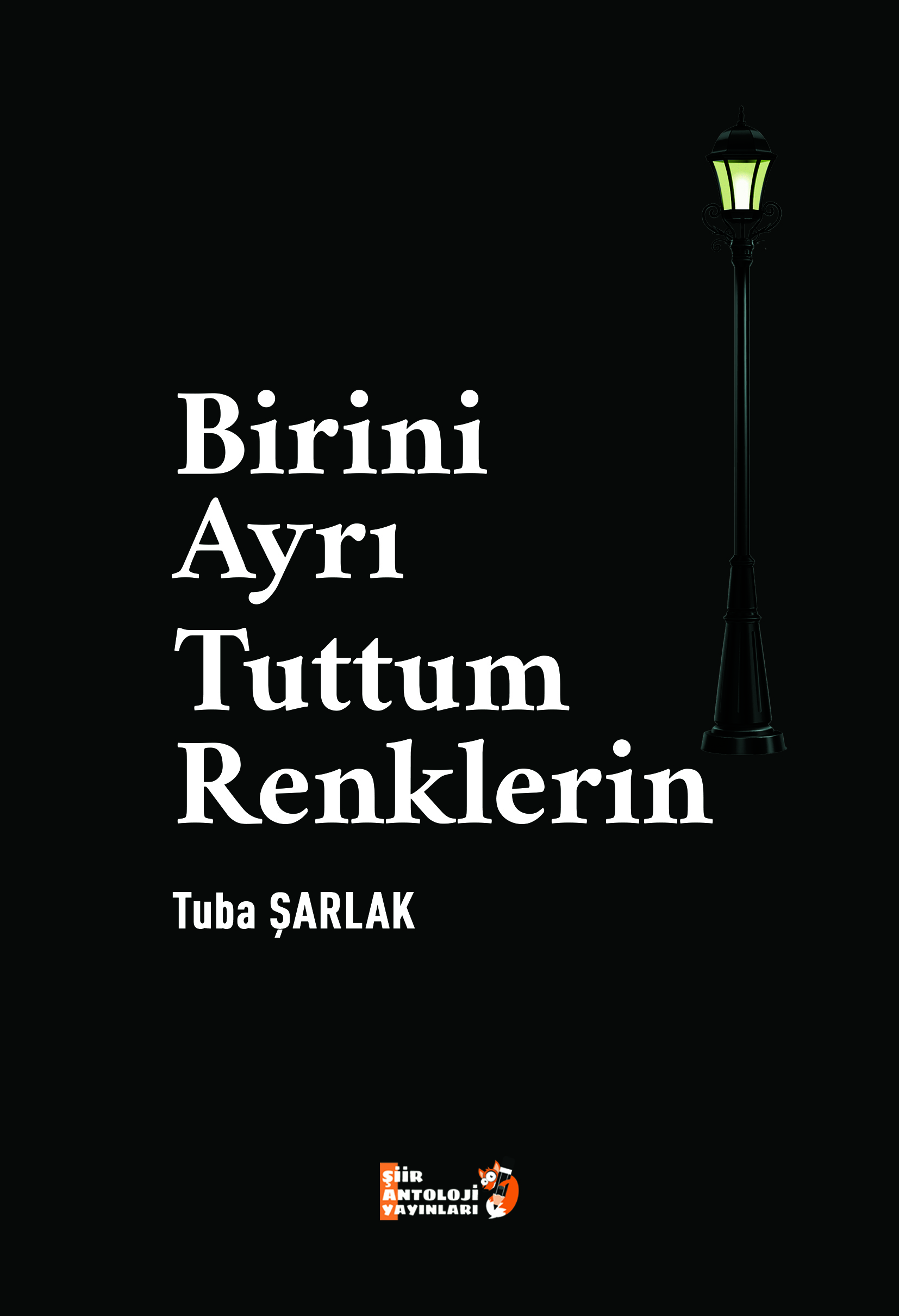 Birini Ayrı Tuttum Renklerin