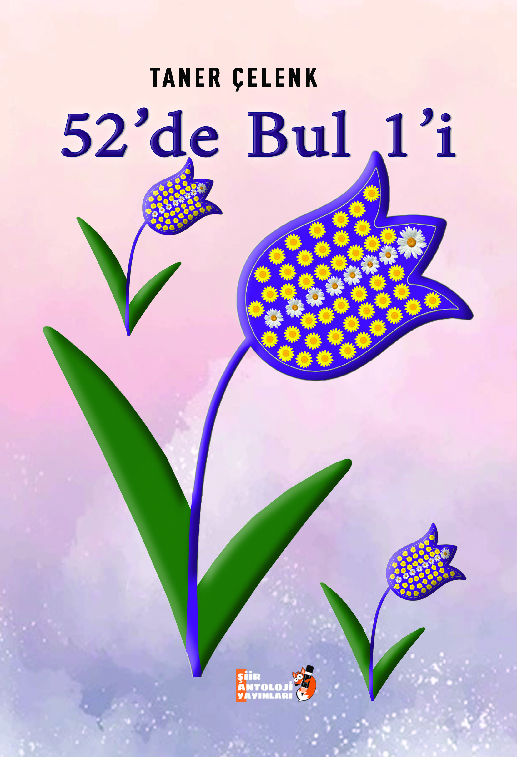 52`de Bul I