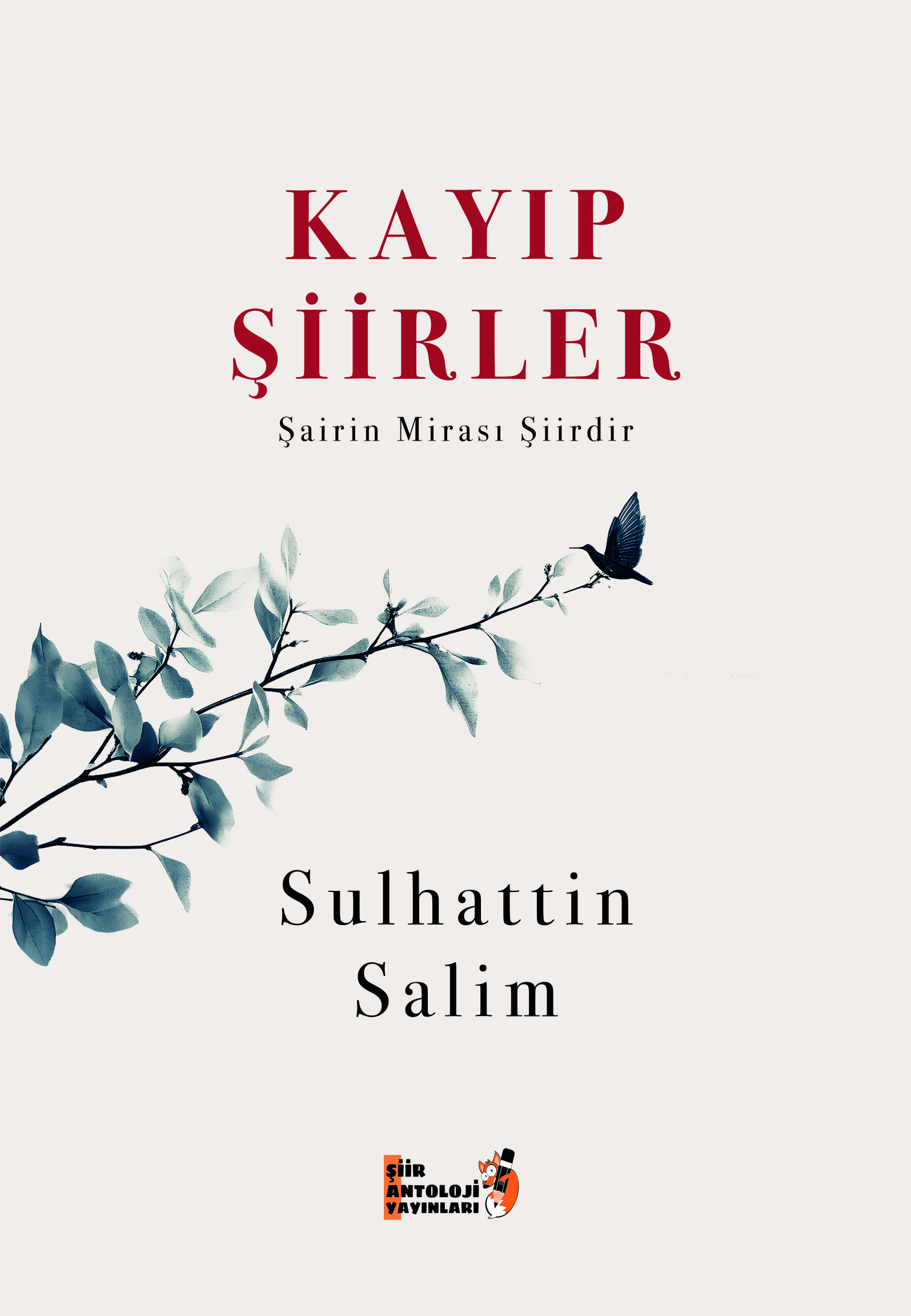 Kayıp Şiirler